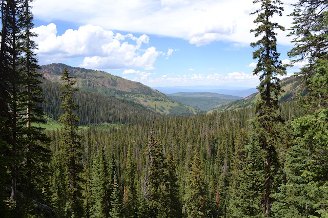 the view back down the valley