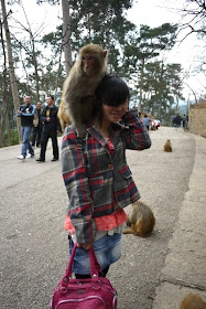 monkey sitting on girl's shoulders