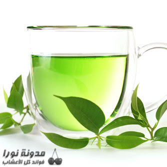 الشاي الأخضر يساعد في إنقاص الوزن .. 050311_GreenTea1