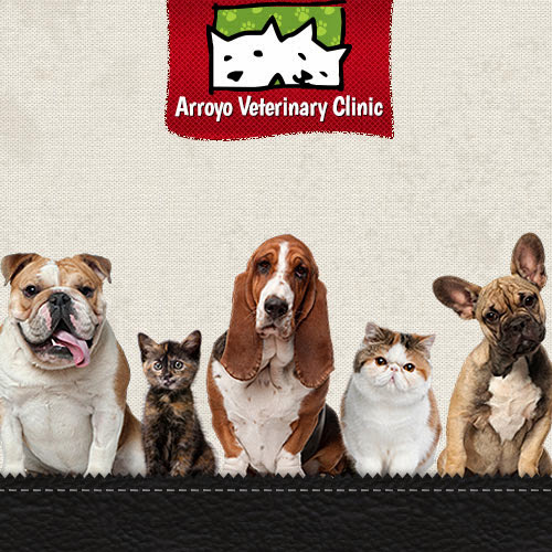 Arroyo Veterinary Clinic logo