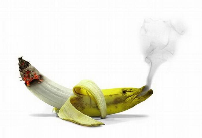 100-Amazing-&-Cool-Funny-Pictures-20 Image alt tage here