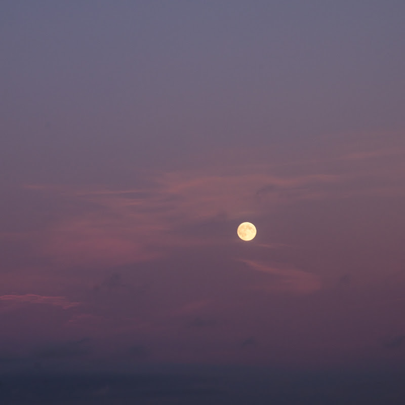 lune au couchant rosé... 20111011_05_lune_DSC5613