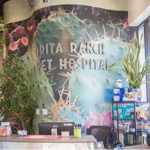 Rita Ranch Pet Hospital