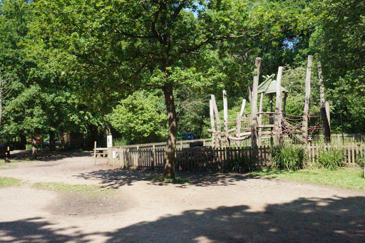 Salcey Forest