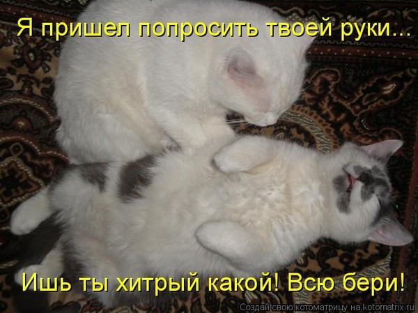 Ни дня без улыбки. Нам без дураков нельзя... Ни дня без улыбки. Нам без дураков нельзя...