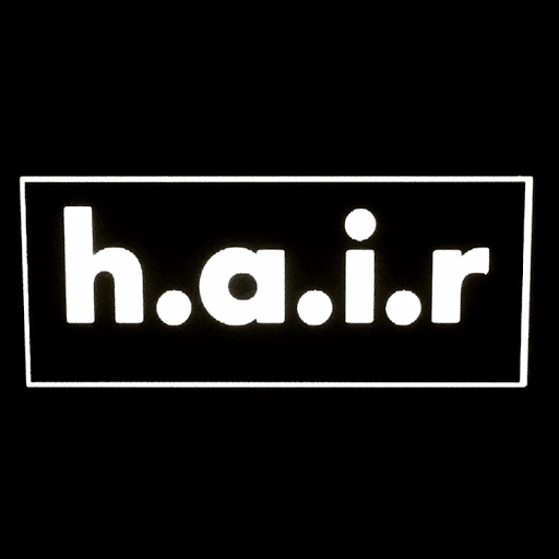 Salong hair i Hovmantorp AB logo