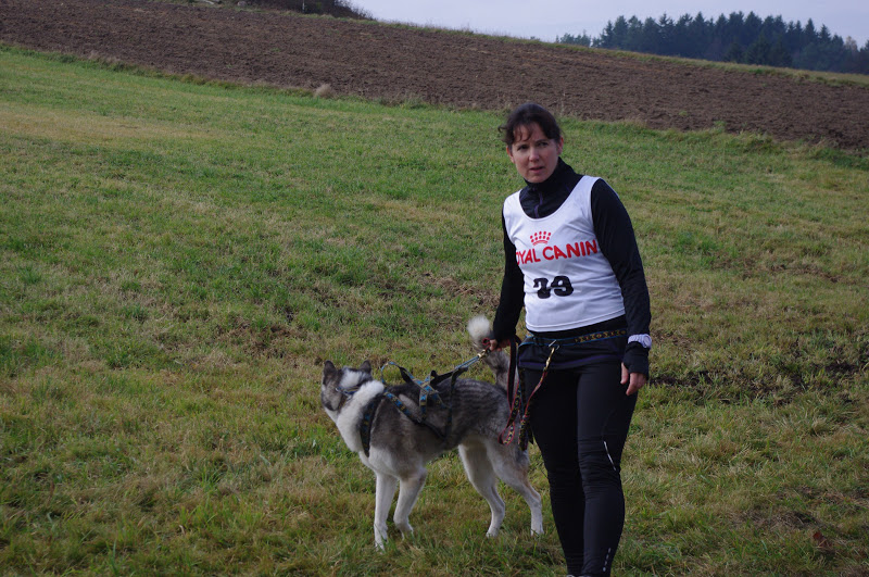 Schlittenhunde-Wagenrennen Reingers 2012 IMGP7628