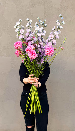 Blumen Graben Sandra Bacher