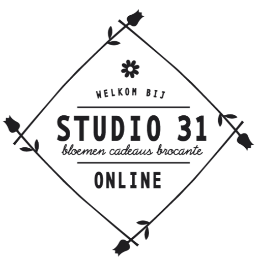 Studio 31