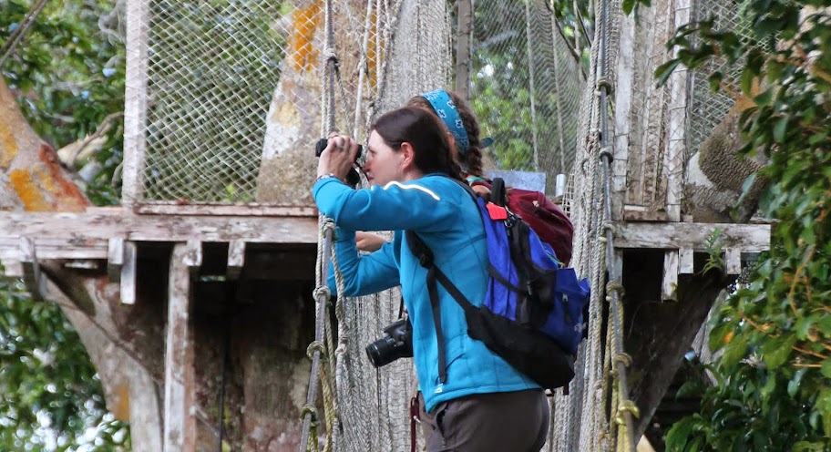 Shadyside Academy’s tropical field ecology course is designed to inspire future field biologists 