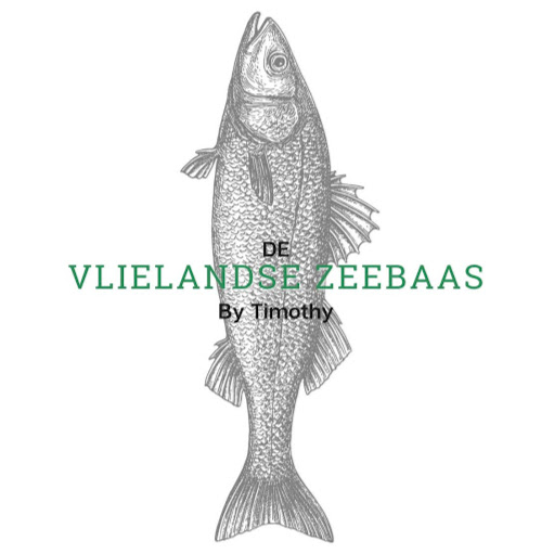 De Vlielandse Zeebaas