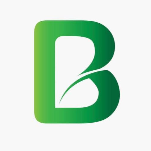 Benjamin Landscaping and Projects logo