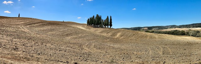 Cipressi di San Quirico d'Orcia