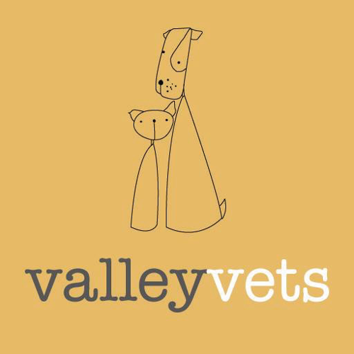 Valley Vets, Cardiff