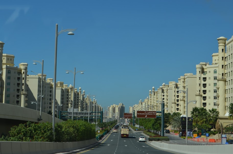 Дубай, 29.01.2013-09.02.2013