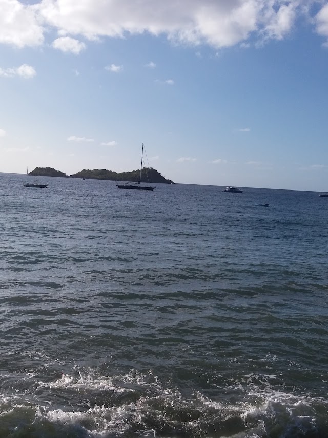 Bleu Passion Guadeloupe