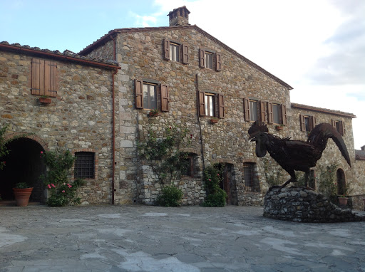Immagine principale di Rocca delle Macie Spa - Casa Vitivinicola