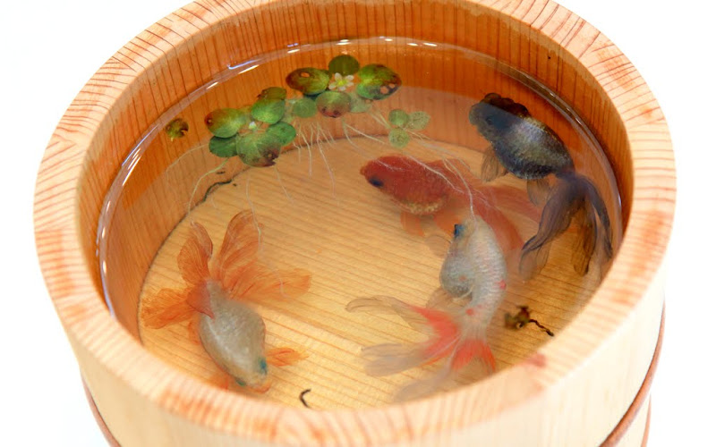 Riusuke Fukahor's Gold Fish Art (Hong Kong)  THE WAHBIANG 