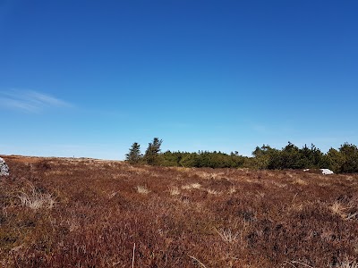 Photos of Mount Leinster