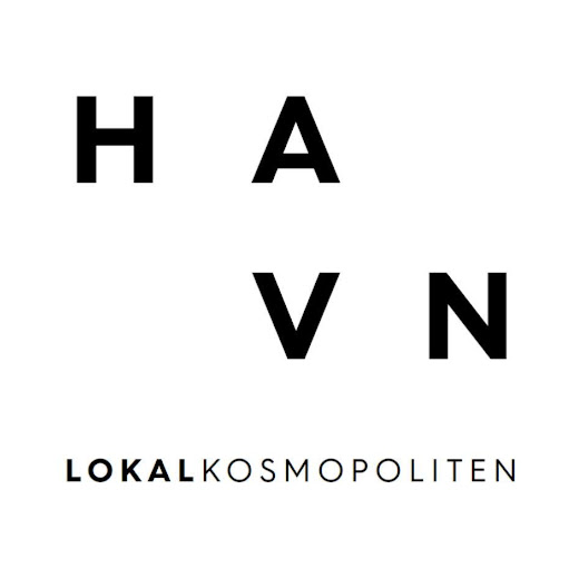 H A V N logo