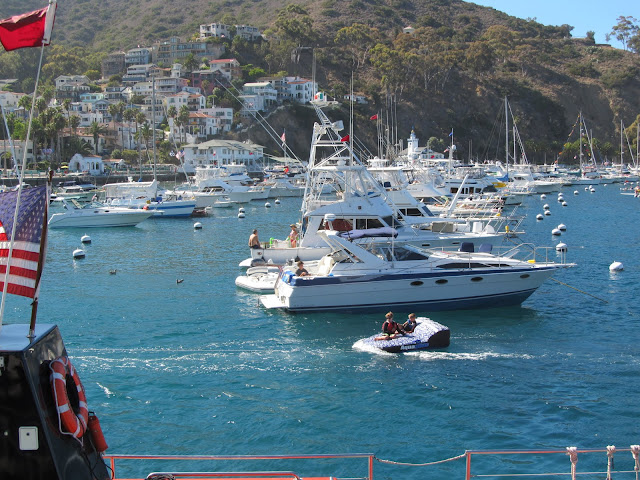 Полет на Каталину (Catalina Island)