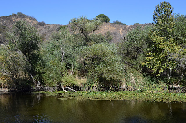 Century Lake