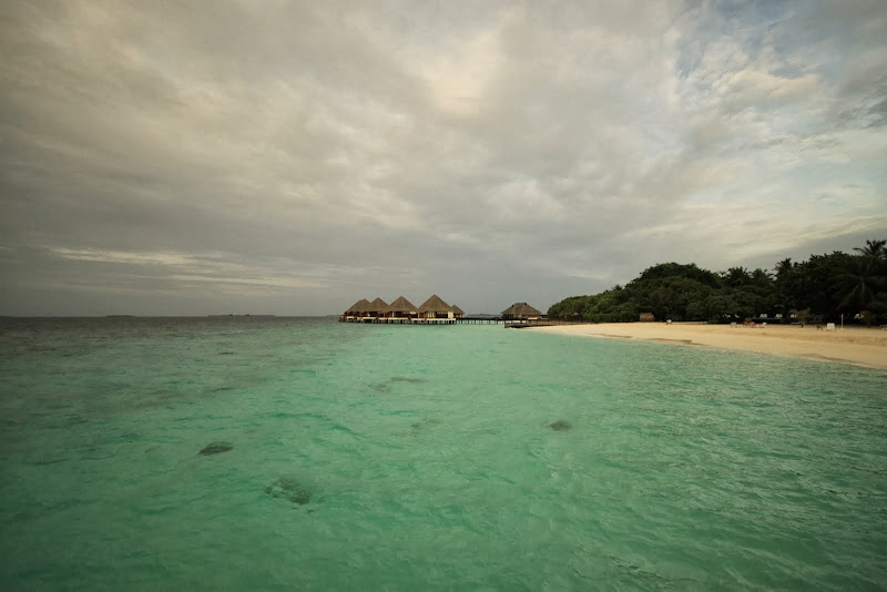 Mała wysepka i piękna plaża na Malediwach