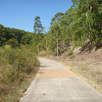 A small clearing on the Zig Zag Track in Green Point Reserve (403207)