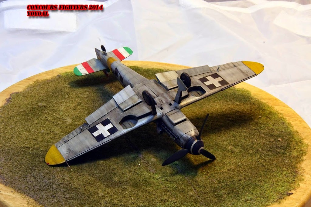 [ Concours avions allemands WWII ] - Me-109 G6 au 1/48° de chez Eduard - Page 4 IMG_1183%2520copie