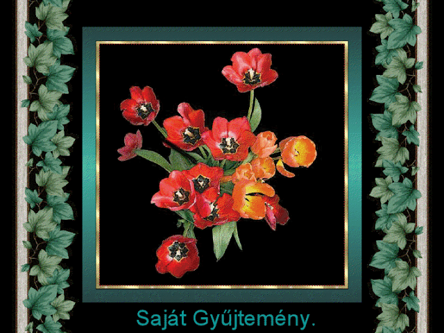 SAJ%25C3%2581T%2520GY%25C5%25B0JTEM%25C3