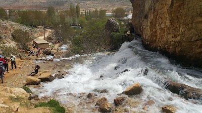 Photos of Yammoune Nature Reserve