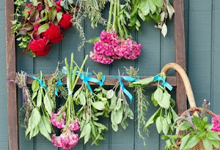 How To Dry Herbs Image