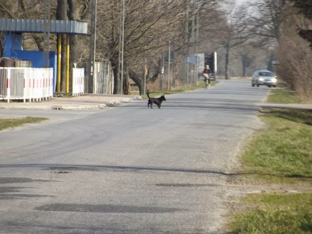040.JPG