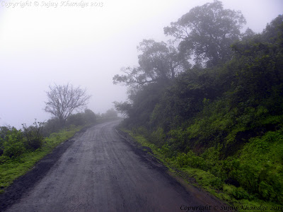 Fog Photography