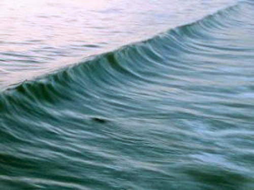 Surfing The Waves Of Change