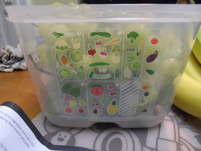 Tupperware FridgeSmart 1 Gallon Fruit Vegetable Storage Crisp-it