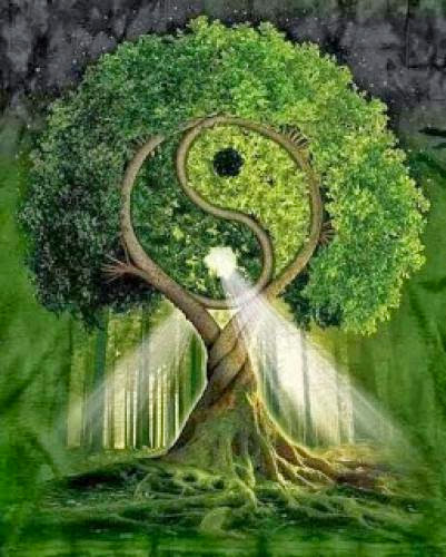 Find Harmony Balance The Yin And Yang Energies Find Harmony Balance The Yin And Yang Energies