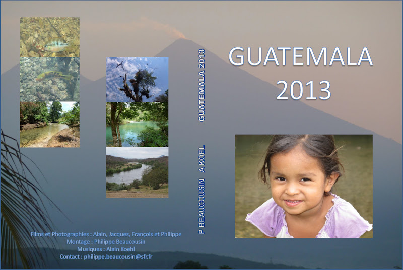 Guatemala 2013 - Pourquoi le silence. - Page 3 Couverture%2520DVD