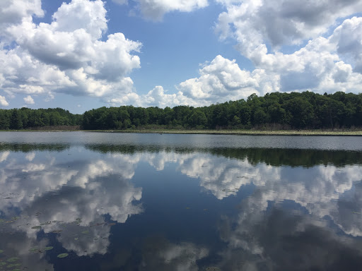 Nature Preserve «Beaver Meadow Audubon Center», reviews and photos, 1610 Welch Rd, Java Center, NY 14082, USA