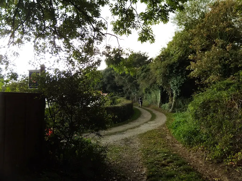 Brick Lane into East Runton