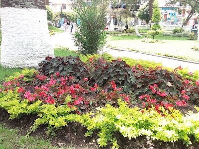Photos of Parque Palomino Flores
