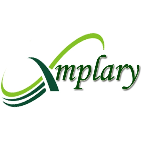 XMPLARY SOLUTIONS - Training & Consulting, A59, 8-3-222/C/3/1, SWAPNA RESIDENCY,, Madhura Nagar, SR Nagar, Hyderabad, Telangana 500038, India, Call_Center_Training_Institute, state TS