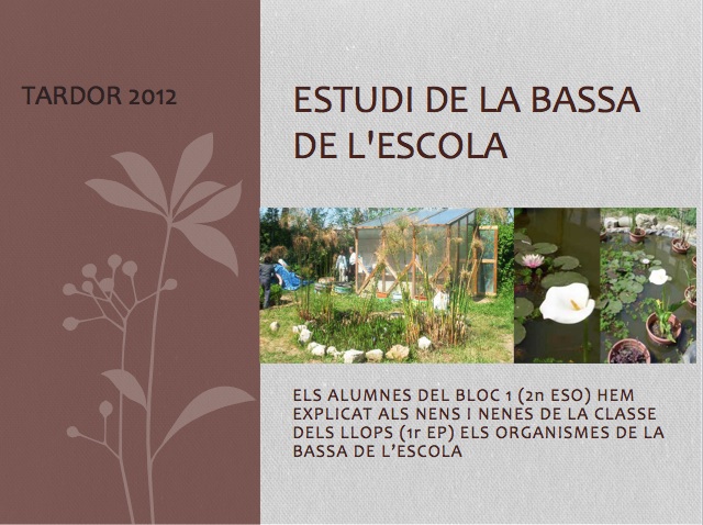 Estudi de la bassa