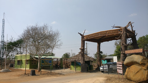 Nagarahole Forest Checkpost, 3