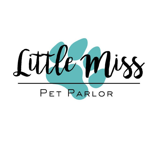 Little Miss Pet Parlor