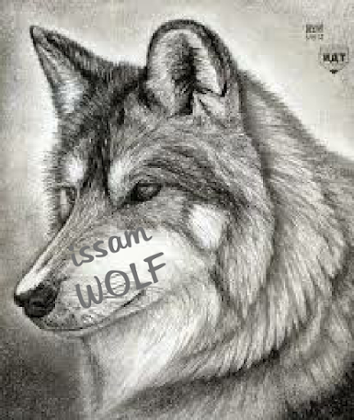 Photos of مقهى الشواف WOLF