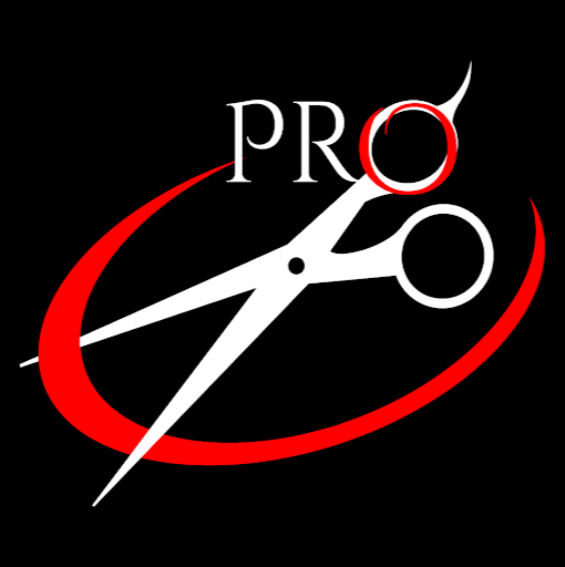 Prostyles Salon logo