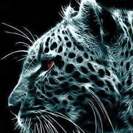 Annonces & événements de Uelias