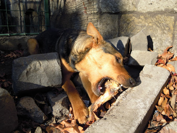 DSCN1468.JPG