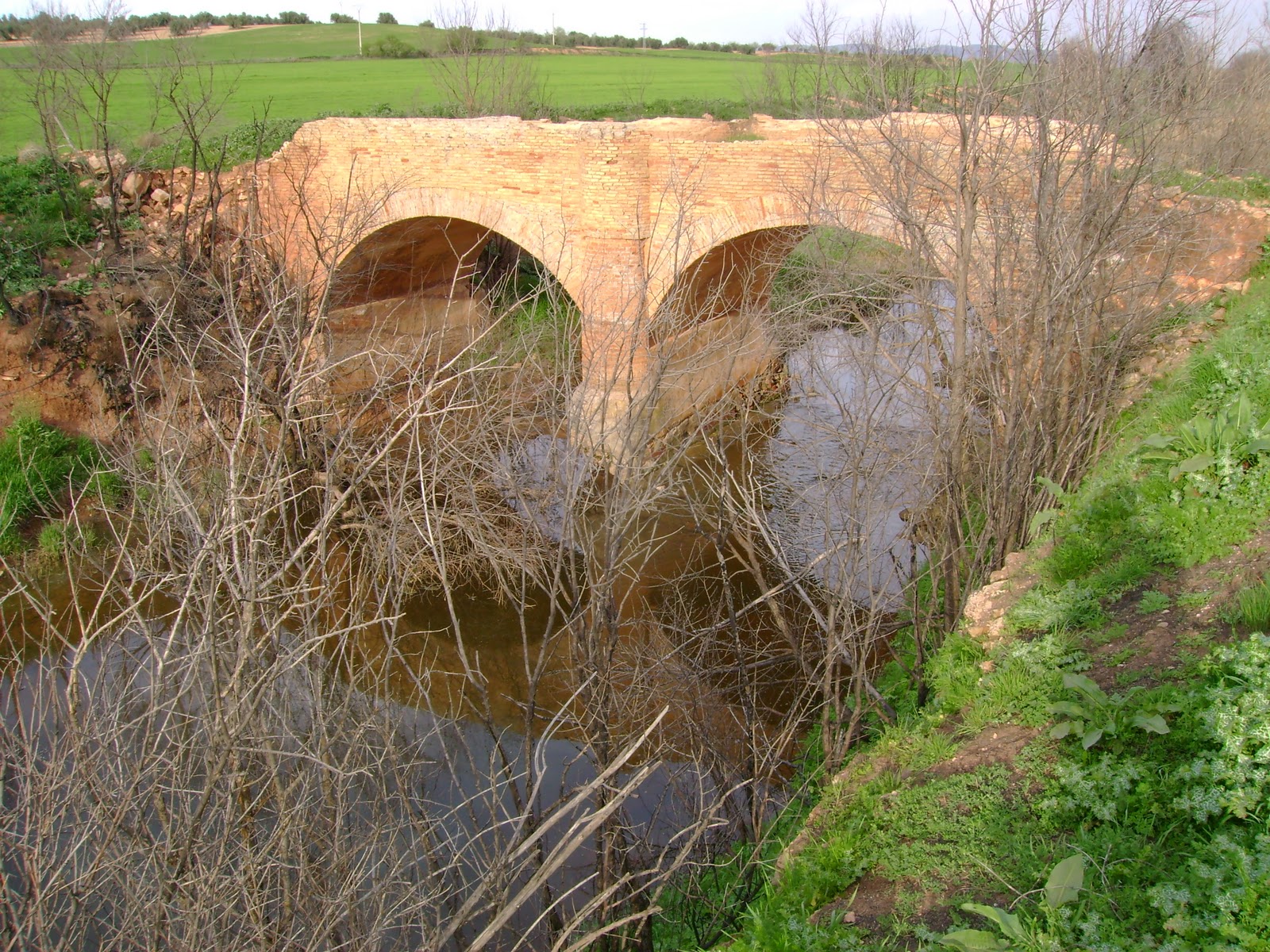 Foto de Pilar Central Del Puente De Hierro Del Trenillo en Granátula de Calatrava, Ciudad Real